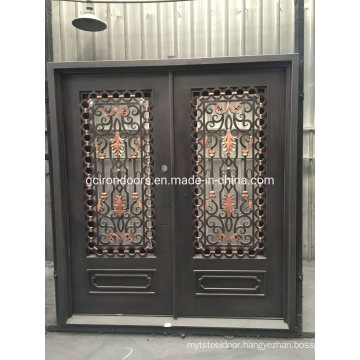 Luxury House Design Wrought Iron Security Door